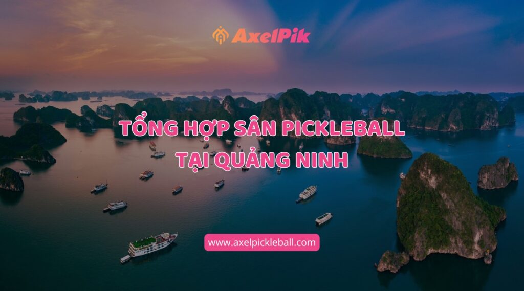 tong hop san pickleball tai quang ninh